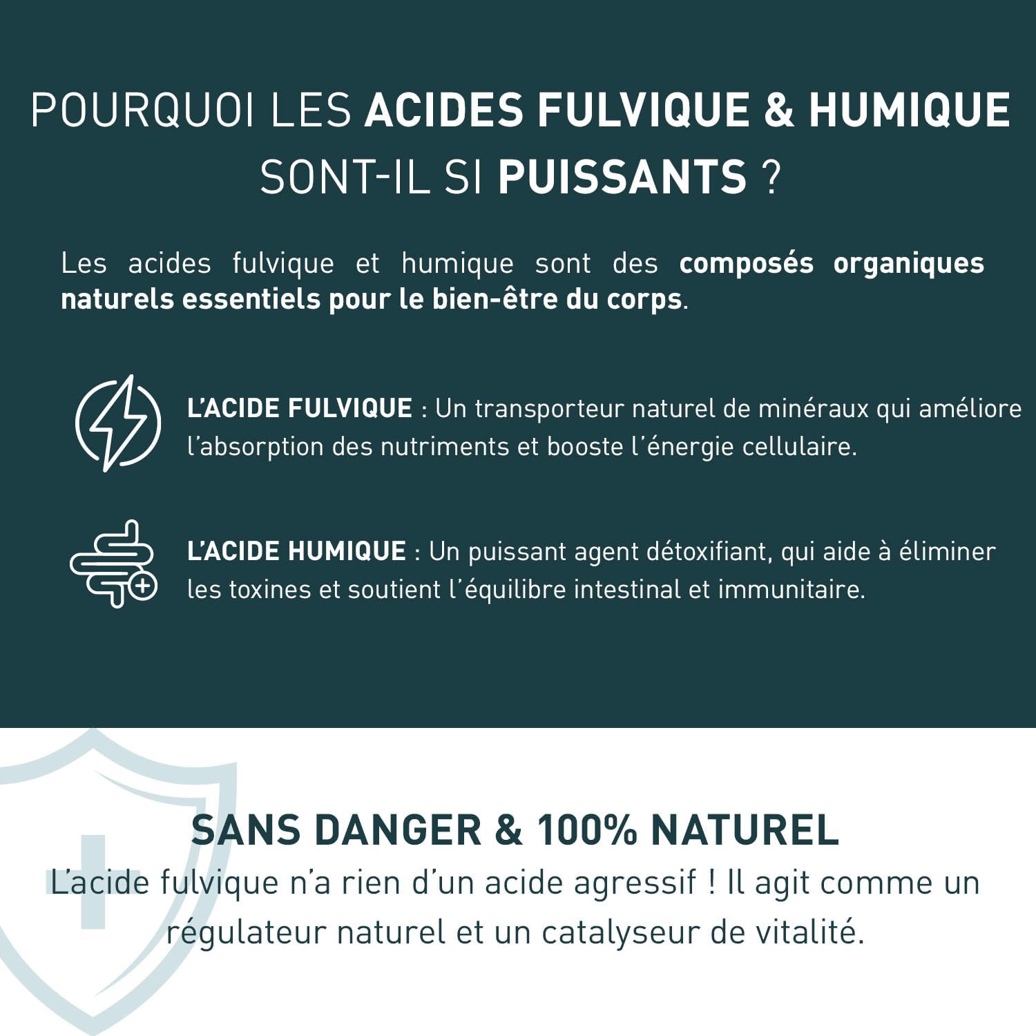 SHILAJIT - Shilajit PURE HIMALAYA | GRANIONS - Laboratoire Français | Immunité, Energie, Articulations, Concentration | Vitamine B6 | Vegan | Complement Alimentaire | 60 Gélules | Format 1 Mois – Image 5