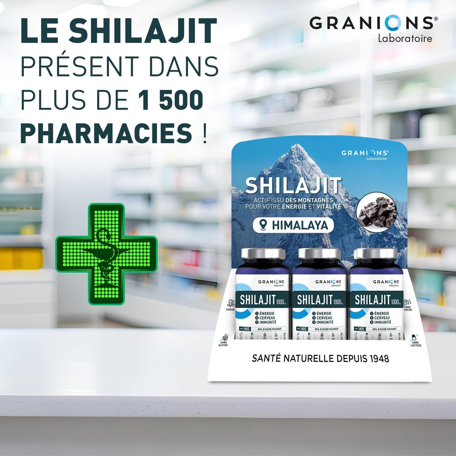 SHILAJIT - Shilajit PURE HIMALAYA | GRANIONS - Laboratoire Français | Immunité, Energie, Articulations, Concentration | Vitamine B6 | Vegan | Complement Alimentaire | 60 Gélules | Format 1 Mois – Image 8