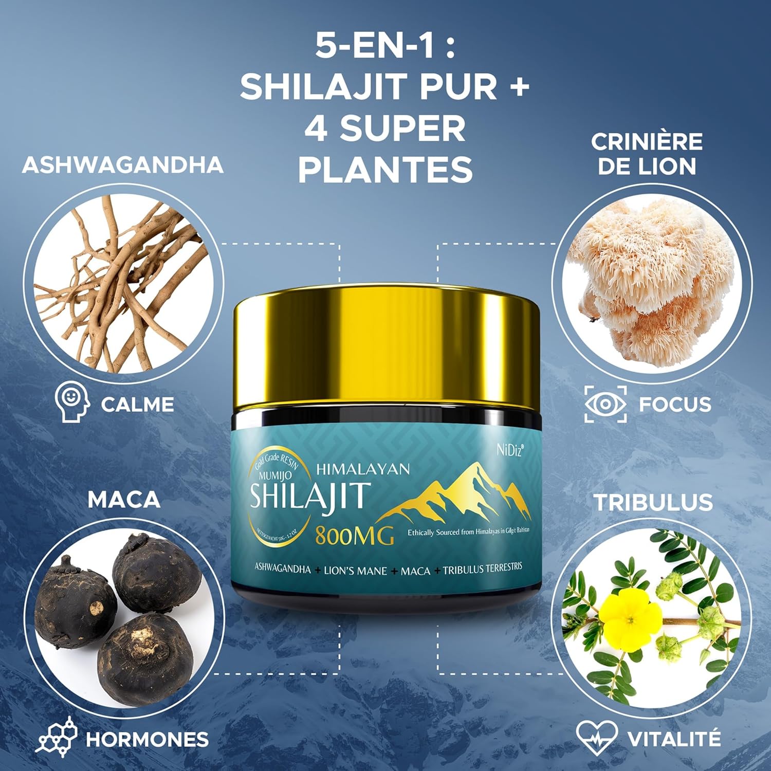 Shilajit Pure Naturel 50g – 800mg Résine Himalayenne, Boost Ayurvédique (Ashwagandha, Crinière de Lion, Maca) – Pureté & Puissance du Shilajit Pur d’Himalaya Testées en Laboratoire UE – Image 4